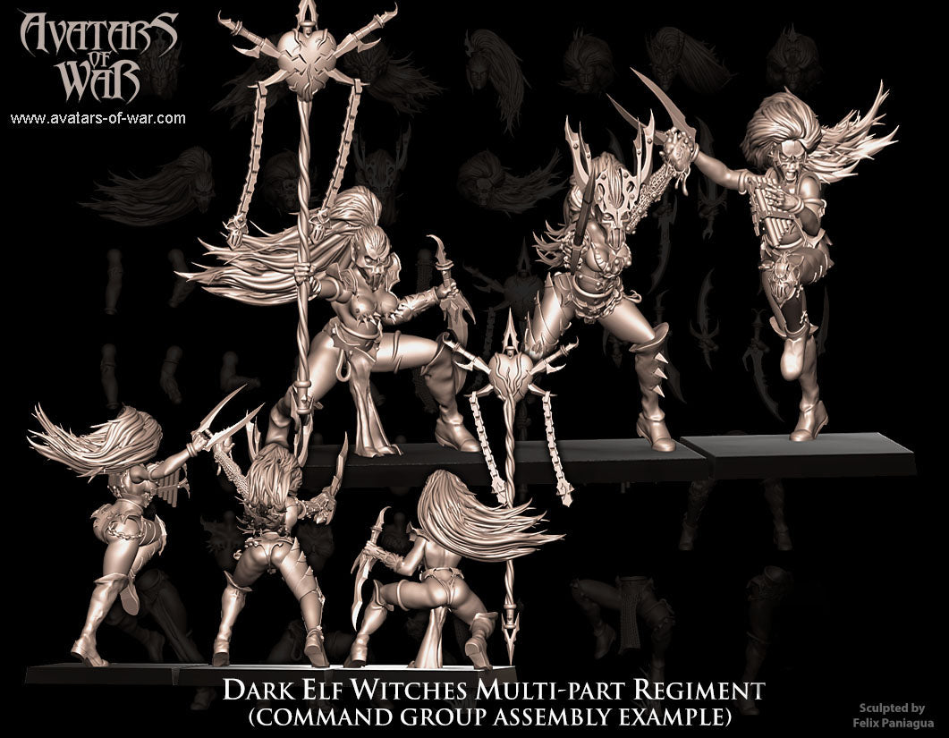 5x Dark Elf Witches multi-part regiment - Avatars of War