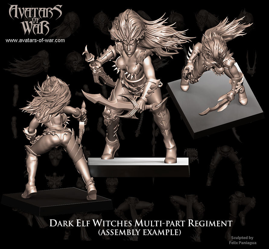 5x Dark Elf Witches multi-part regiment - Avatars of War