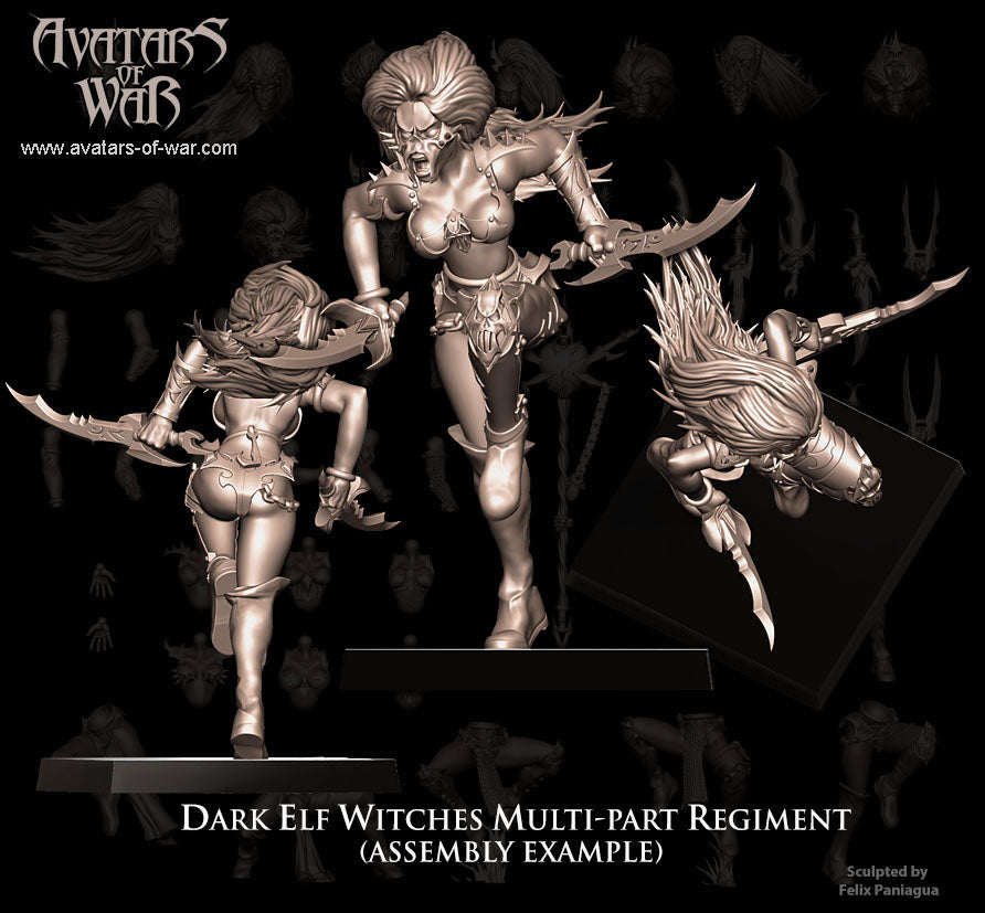 5x Dark Elf Witches multi-part regiment - Avatars of War