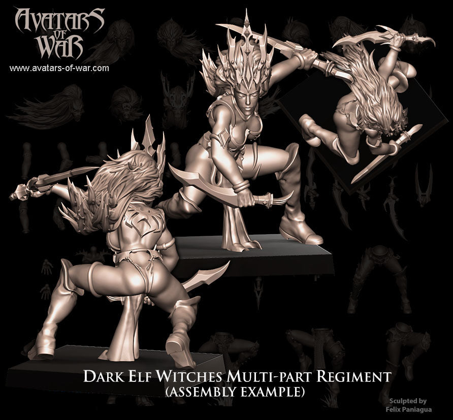 5x Dark Elf Witches multi-part regiment - Avatars of War