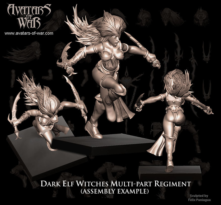 5x Dark Elf Witches multi-part regiment - Avatars of War