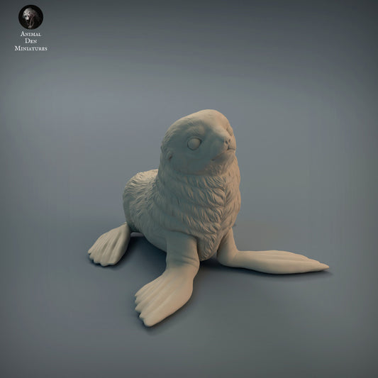 Seal Pup - Animal Den Miniatures