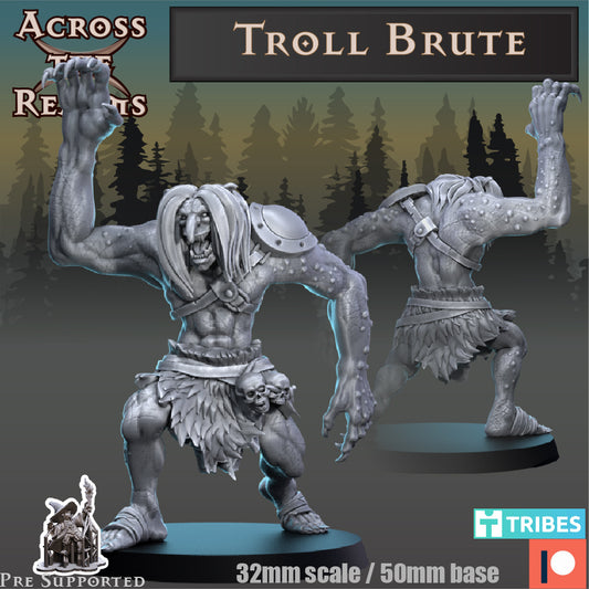 1x Troll Brute - Across the Realms