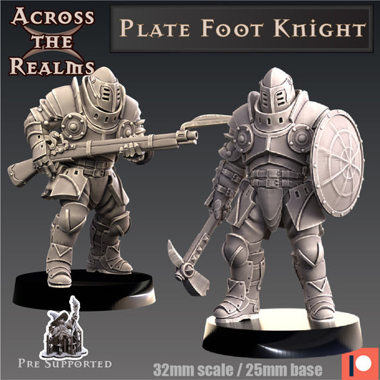 2x Plate Foot Knight - Across the Realms