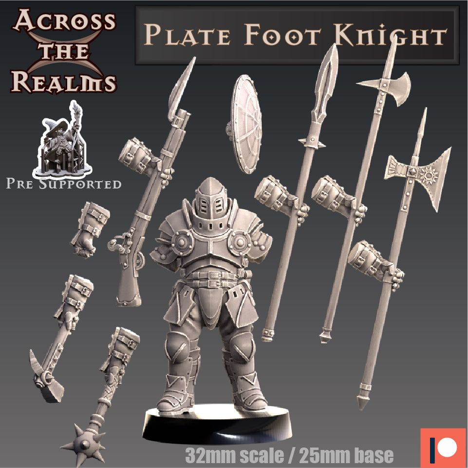 2x Plate Foot Knight - Across the Realms