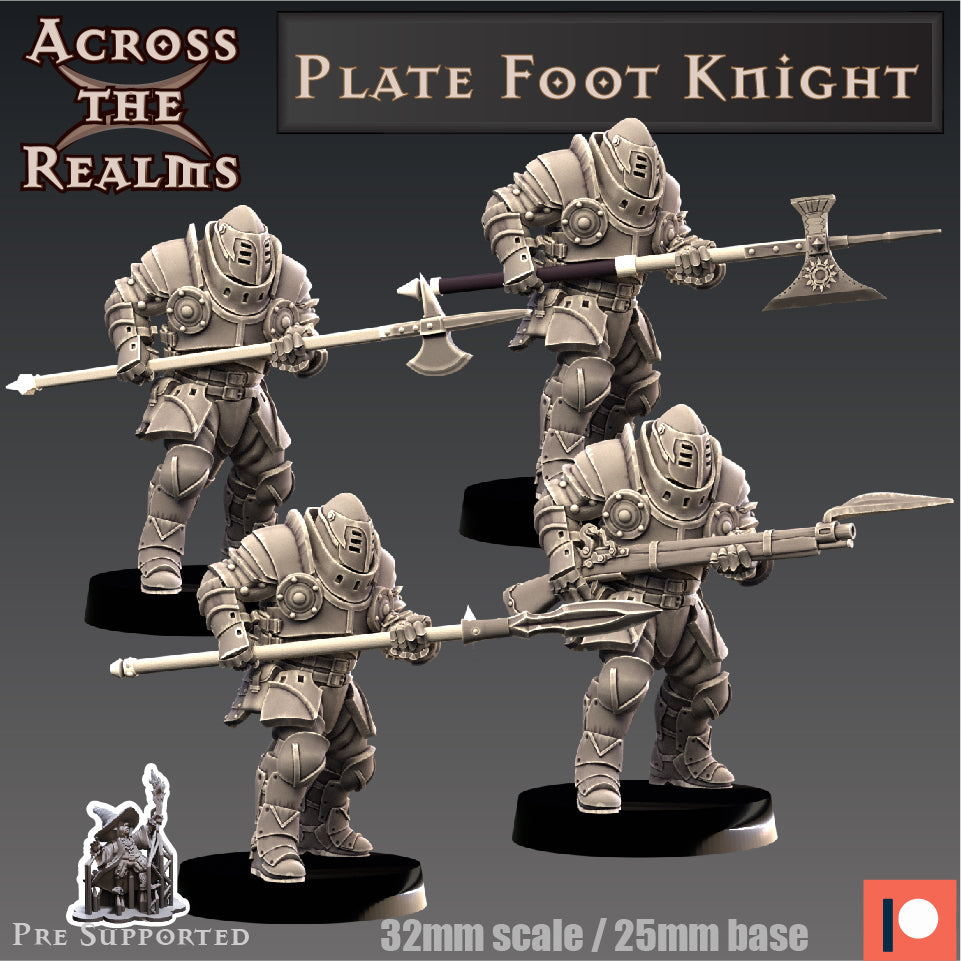 2x Plate Foot Knight - Across the Realms