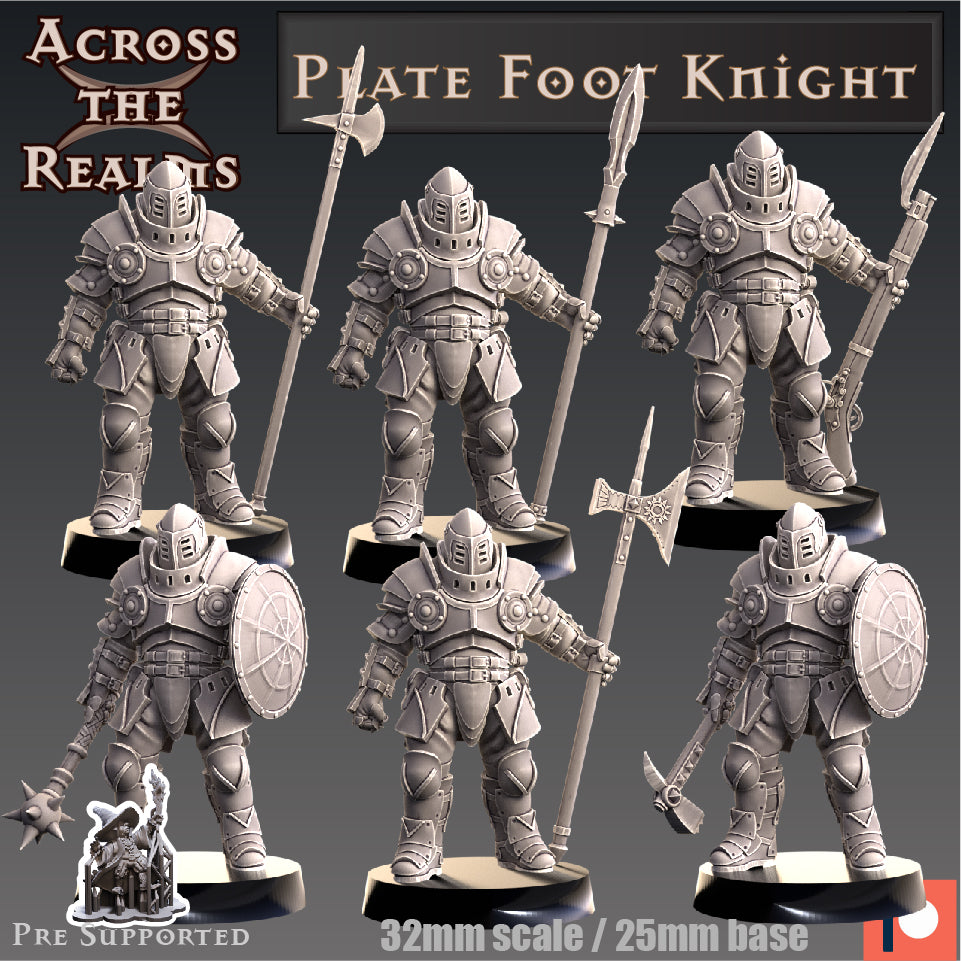 2x Plate Foot Knight - Across the Realms