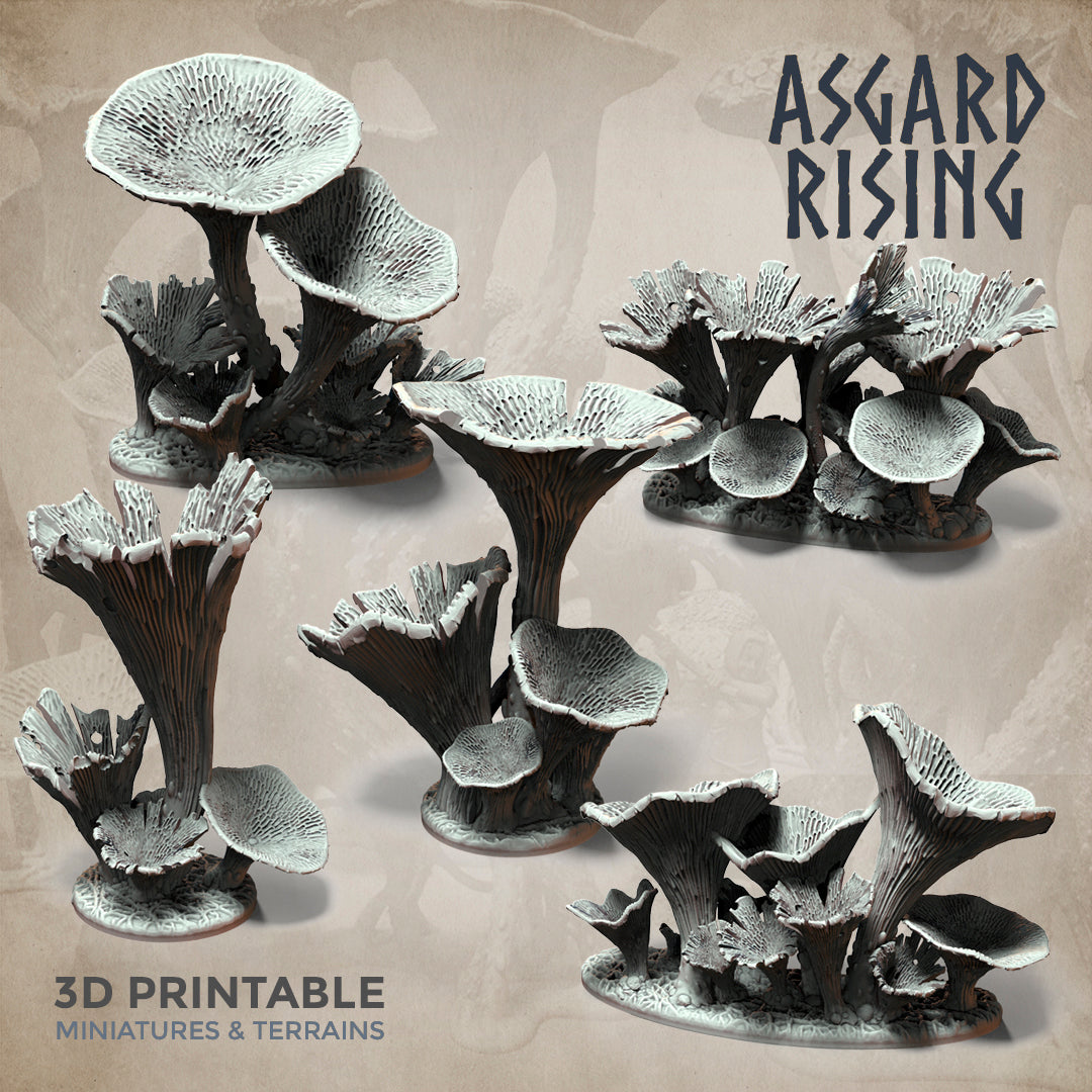 Craterellus Fungi Forest - Asgard Rising