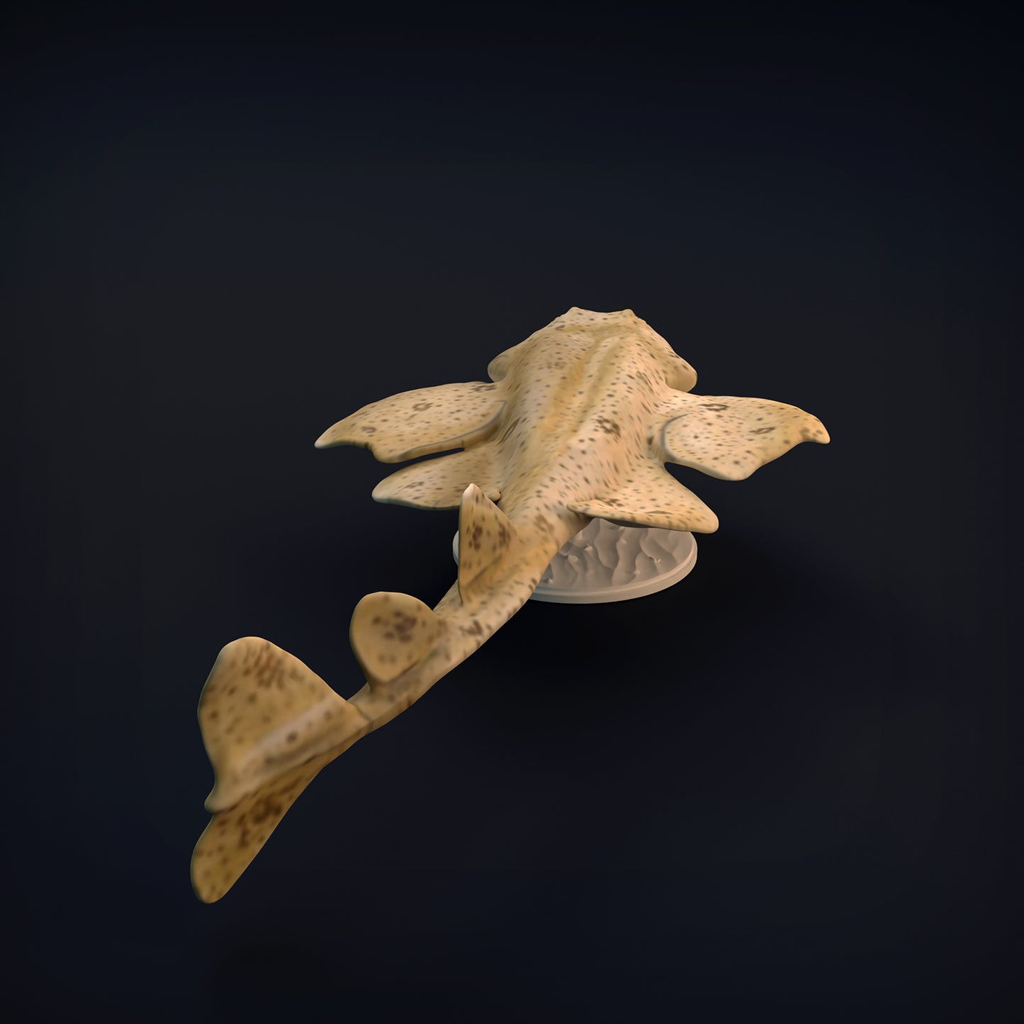 Angel Shark - Animal Den Miniatures