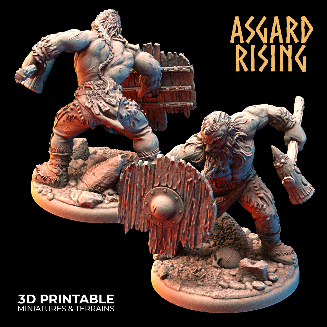 VIKINGS - Berserkers Modular Warband - Asgard Rising