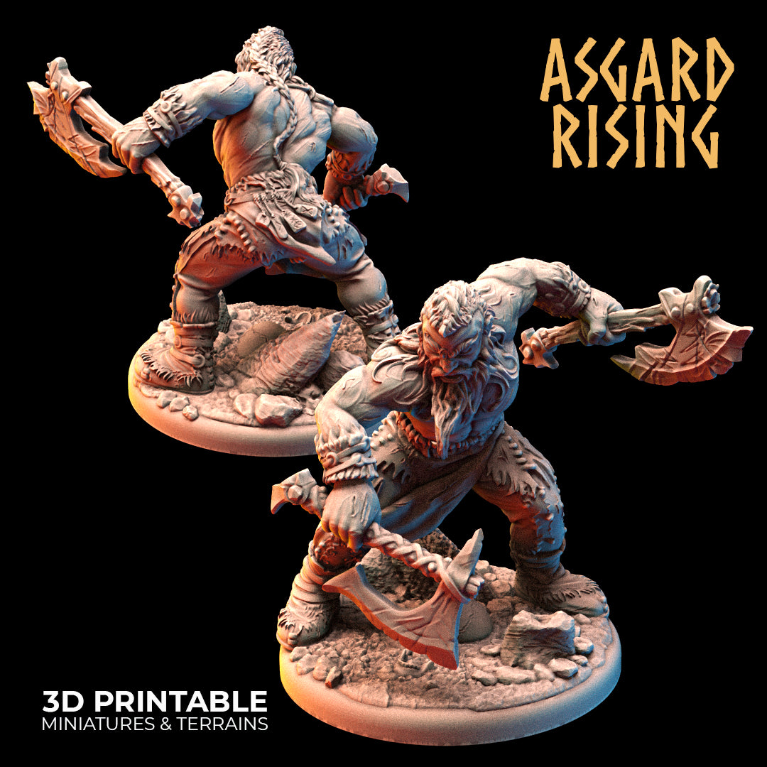 VIKINGS - Berserkers Modular Warband - Asgard Rising