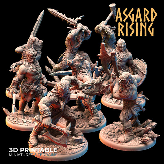 VIKINGS - Berserkers Modular Warband - Asgard Rising