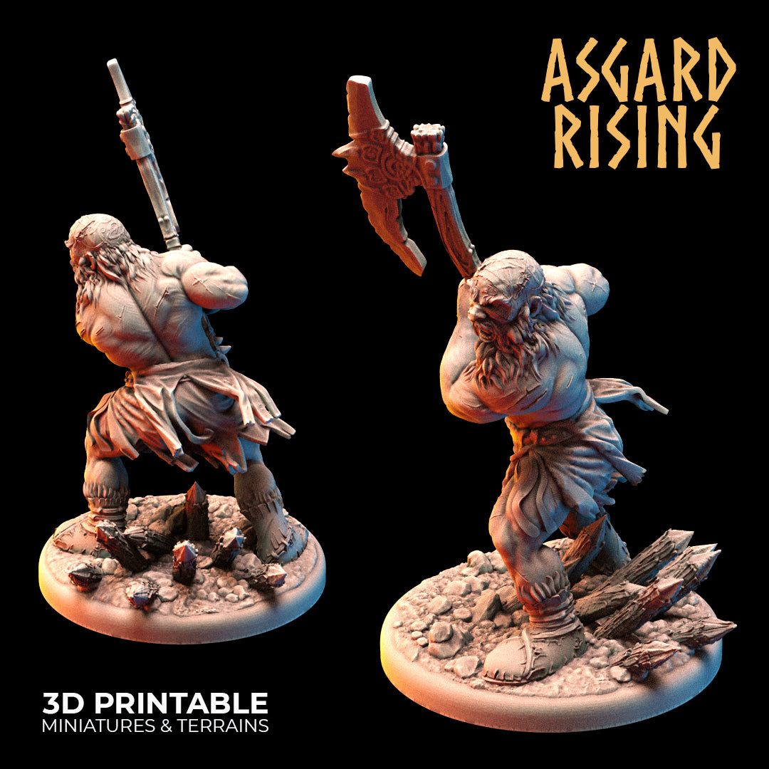 VIKINGS - Berserkers Modular Warband - Asgard Rising