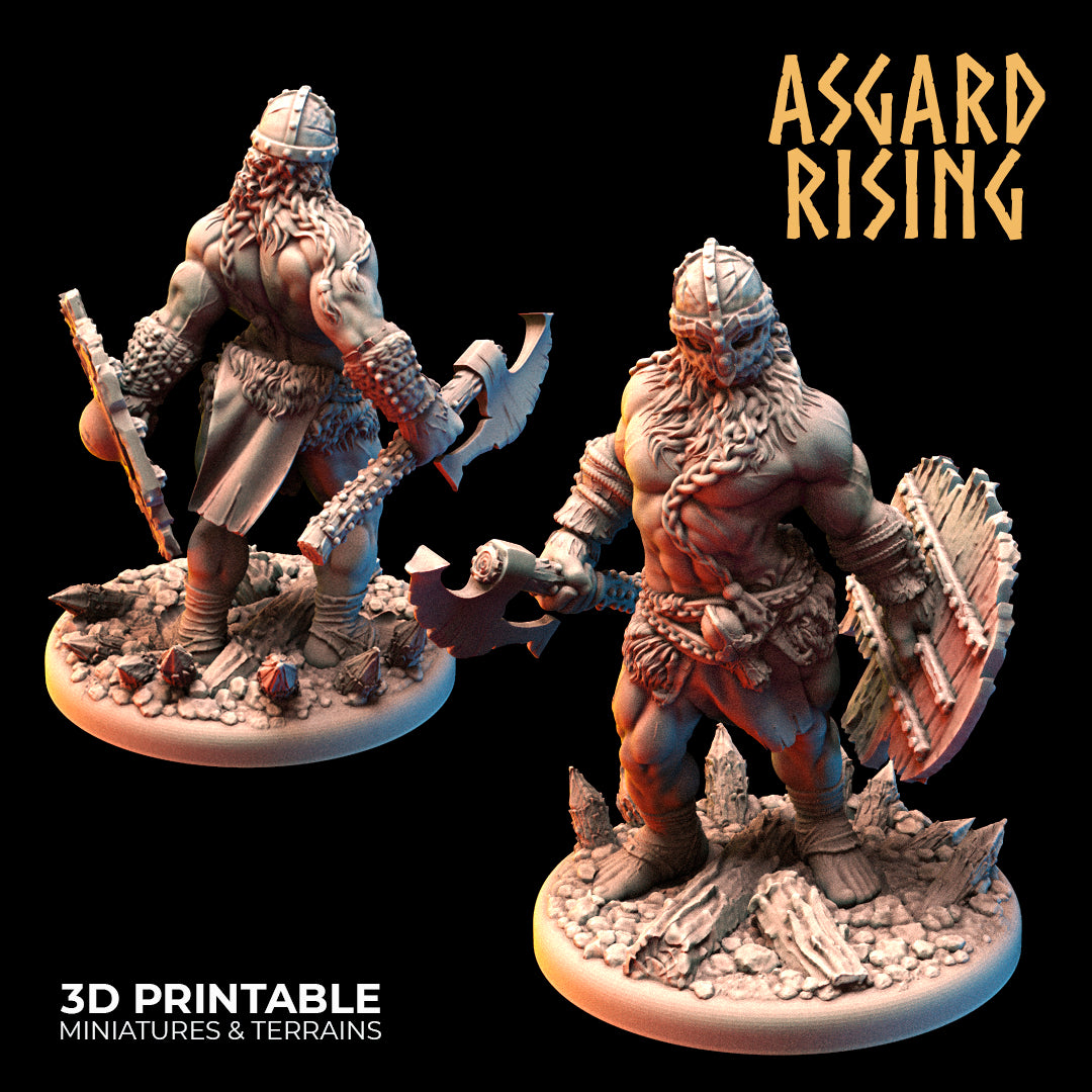 VIKINGS - Berserkers Modular Warband - Asgard Rising