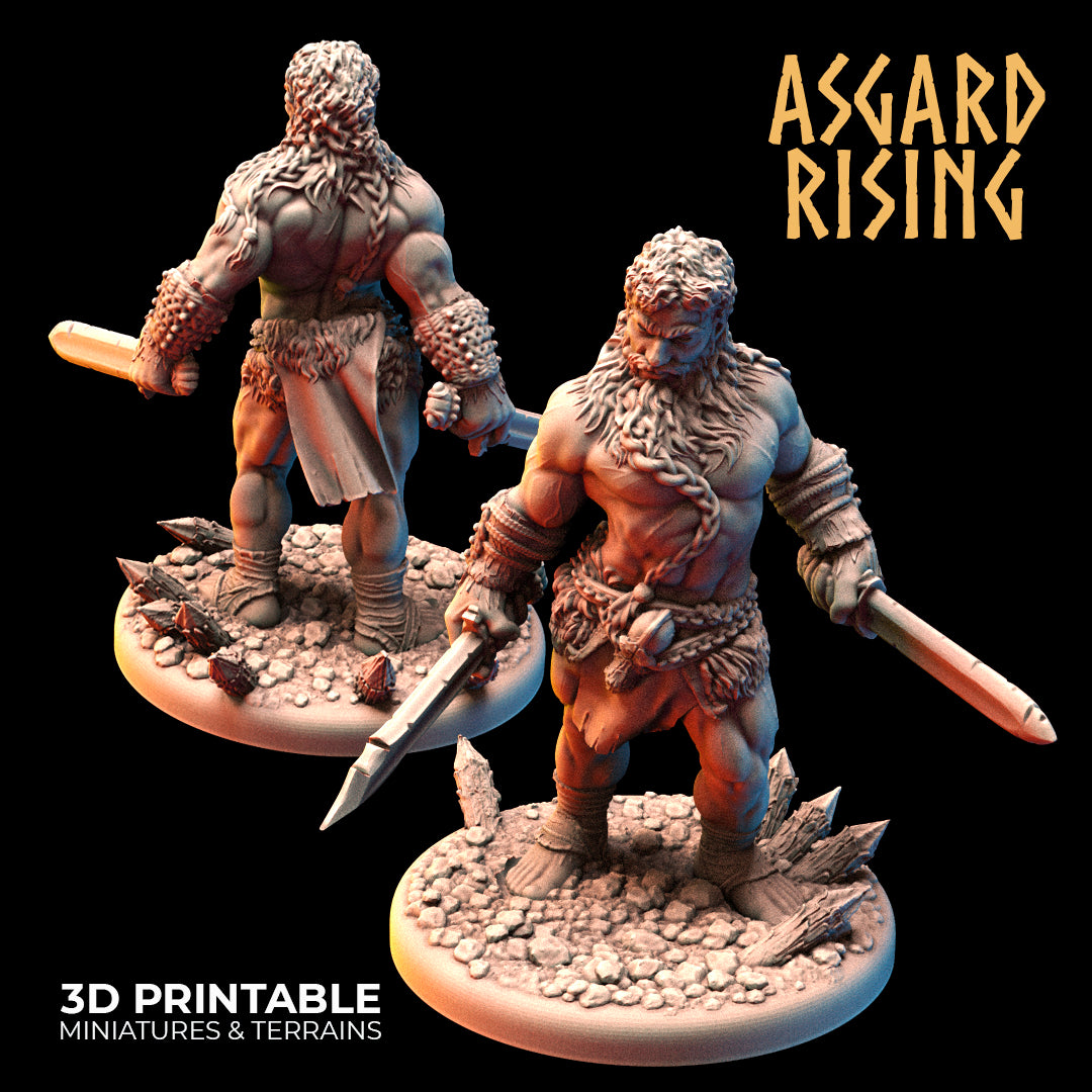 VIKINGS - Berserkers Modular Warband - Asgard Rising