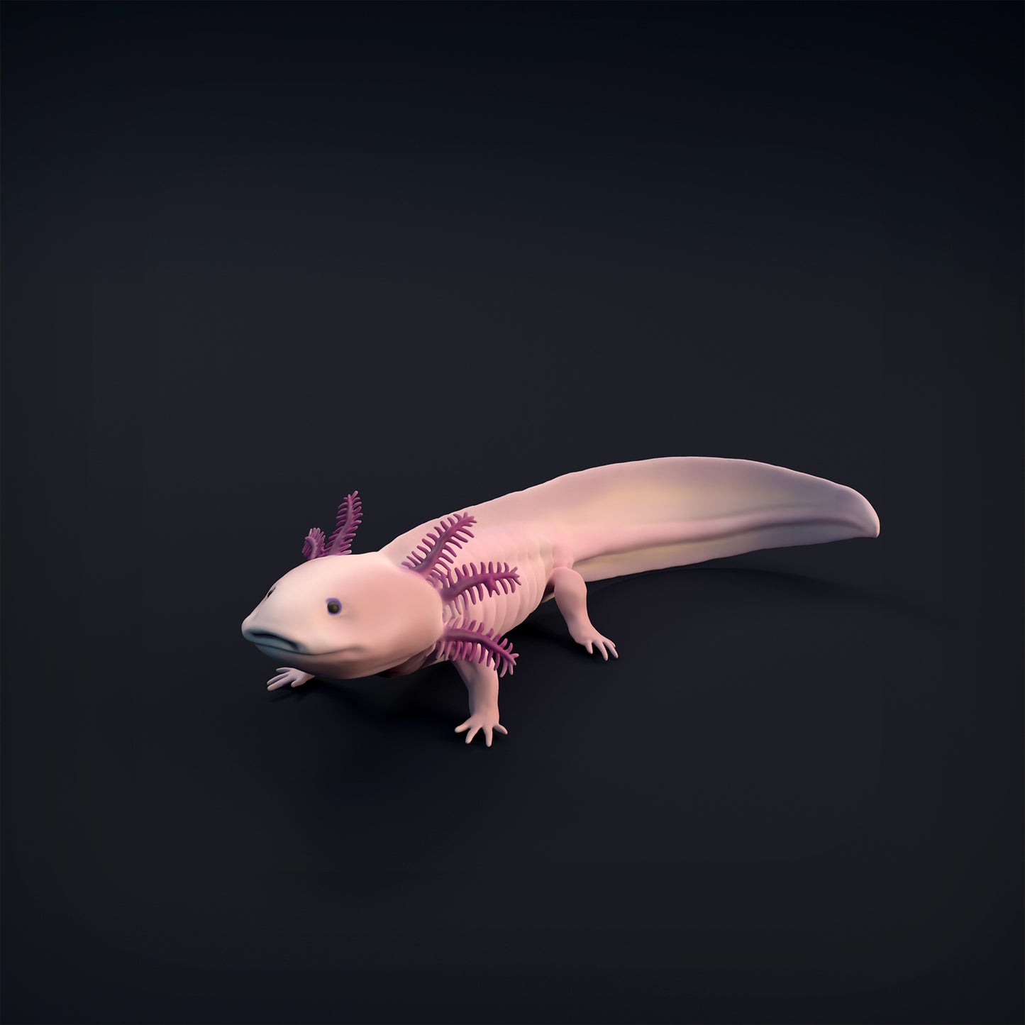 Axolotl - Animal Den Miniatures