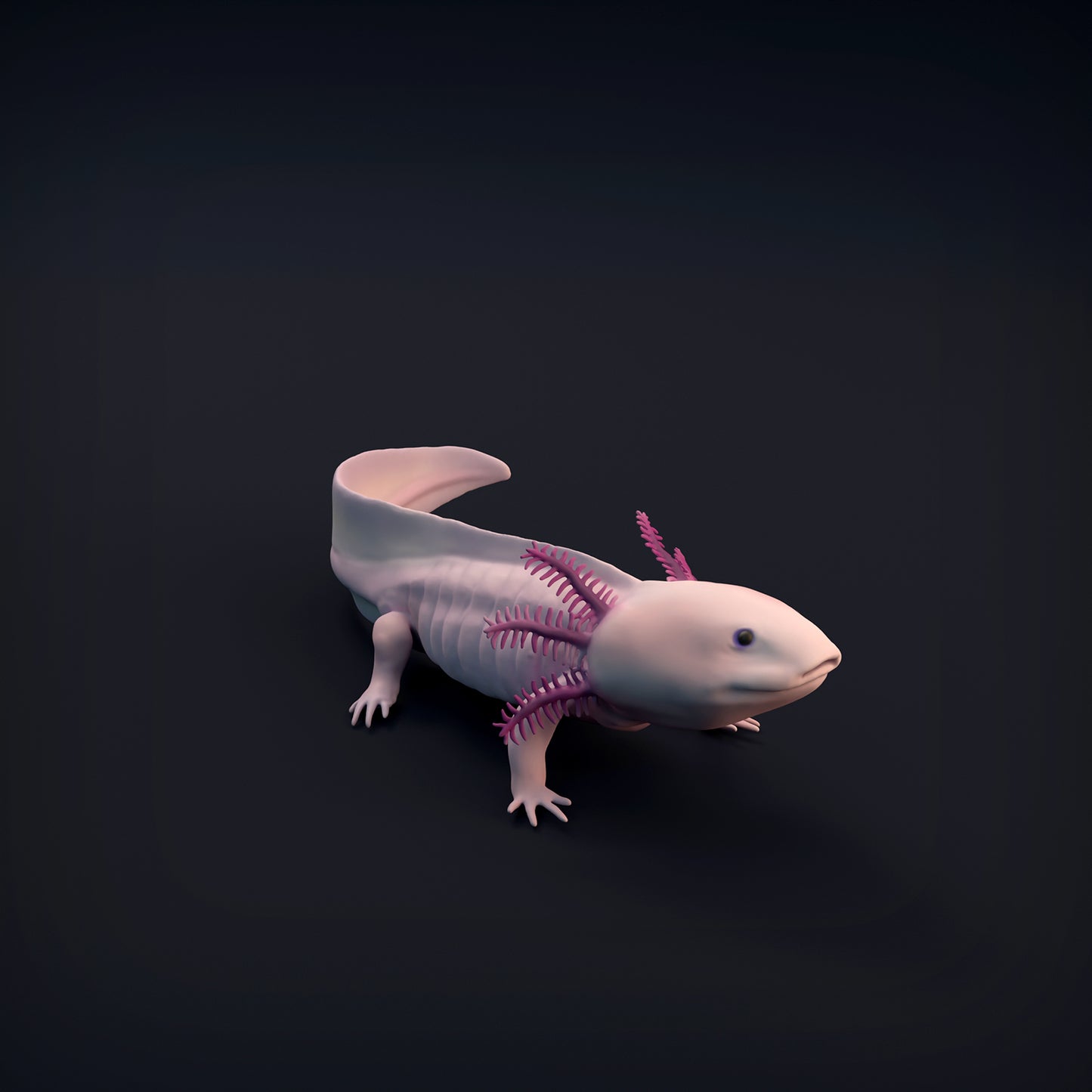 Axolotl - Animal Den Miniatures