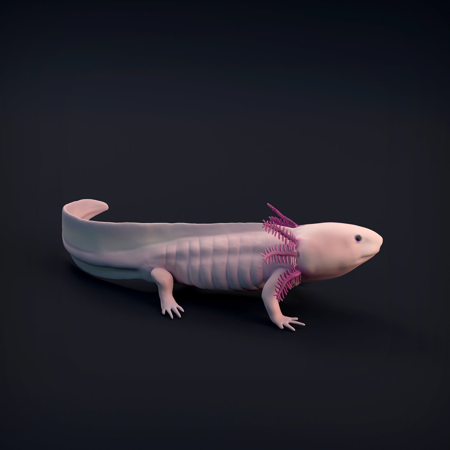 Axolotl - Animal Den Miniatures