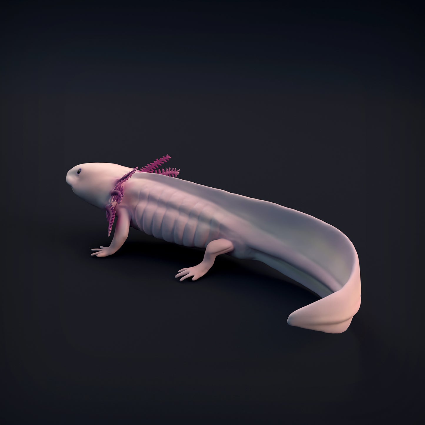 Axolotl - Animal Den Miniatures