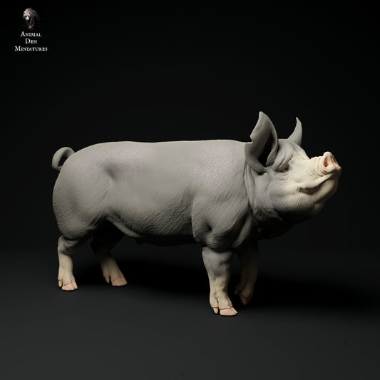 Berkshire Boar - Animal Den Miniatures