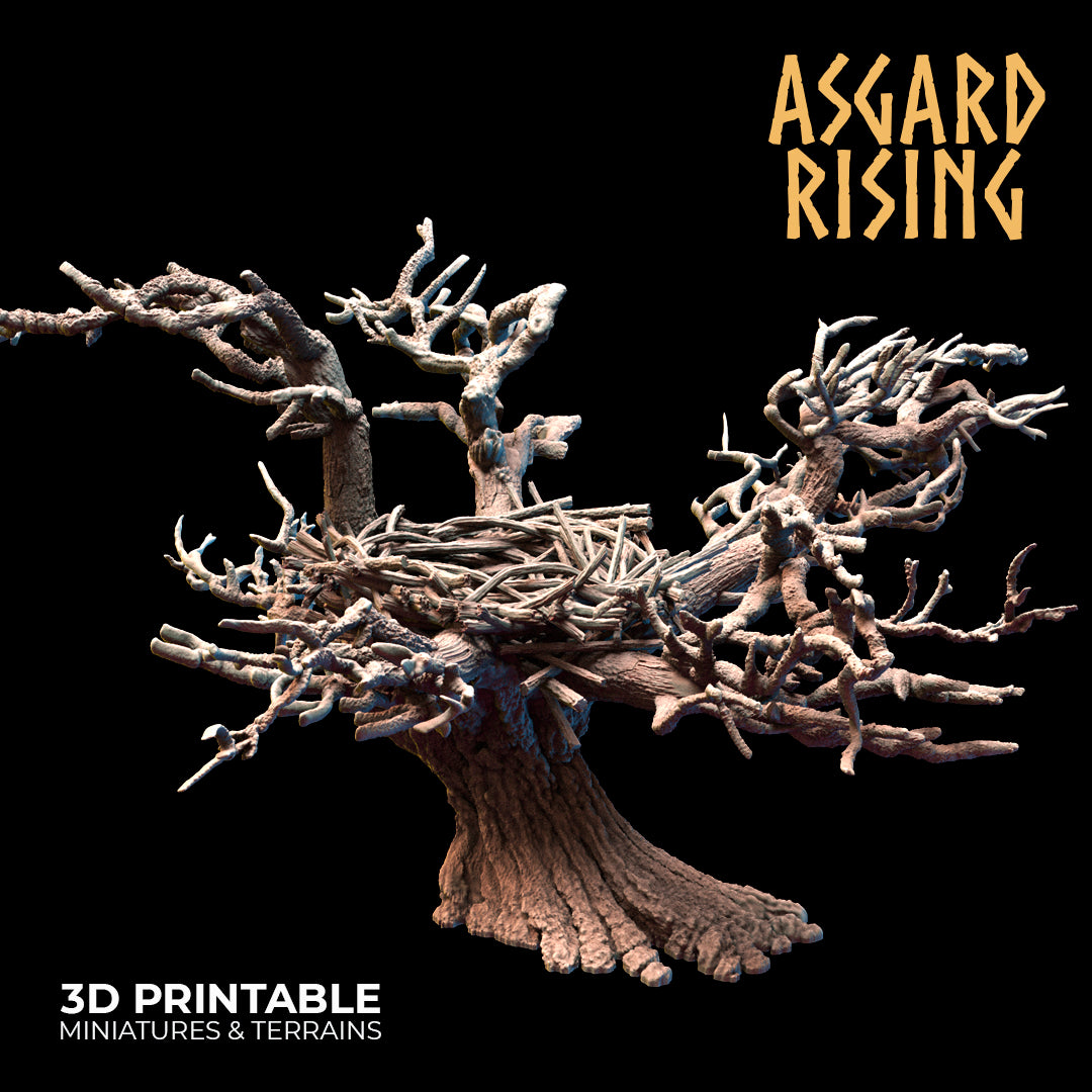 Riesige Vogelnester - Asgard Rising