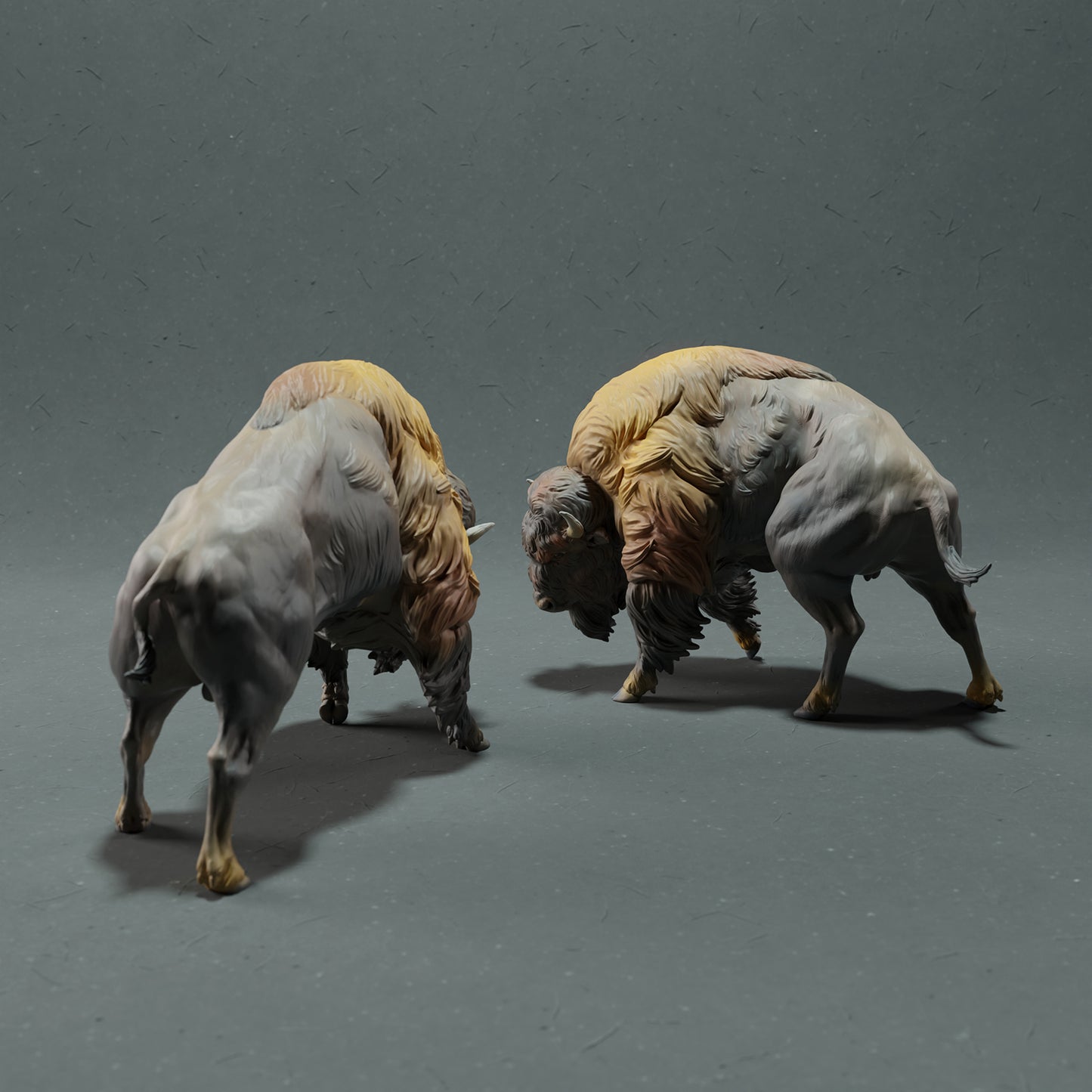 American Bison - Fight - Animal Den Miniatures