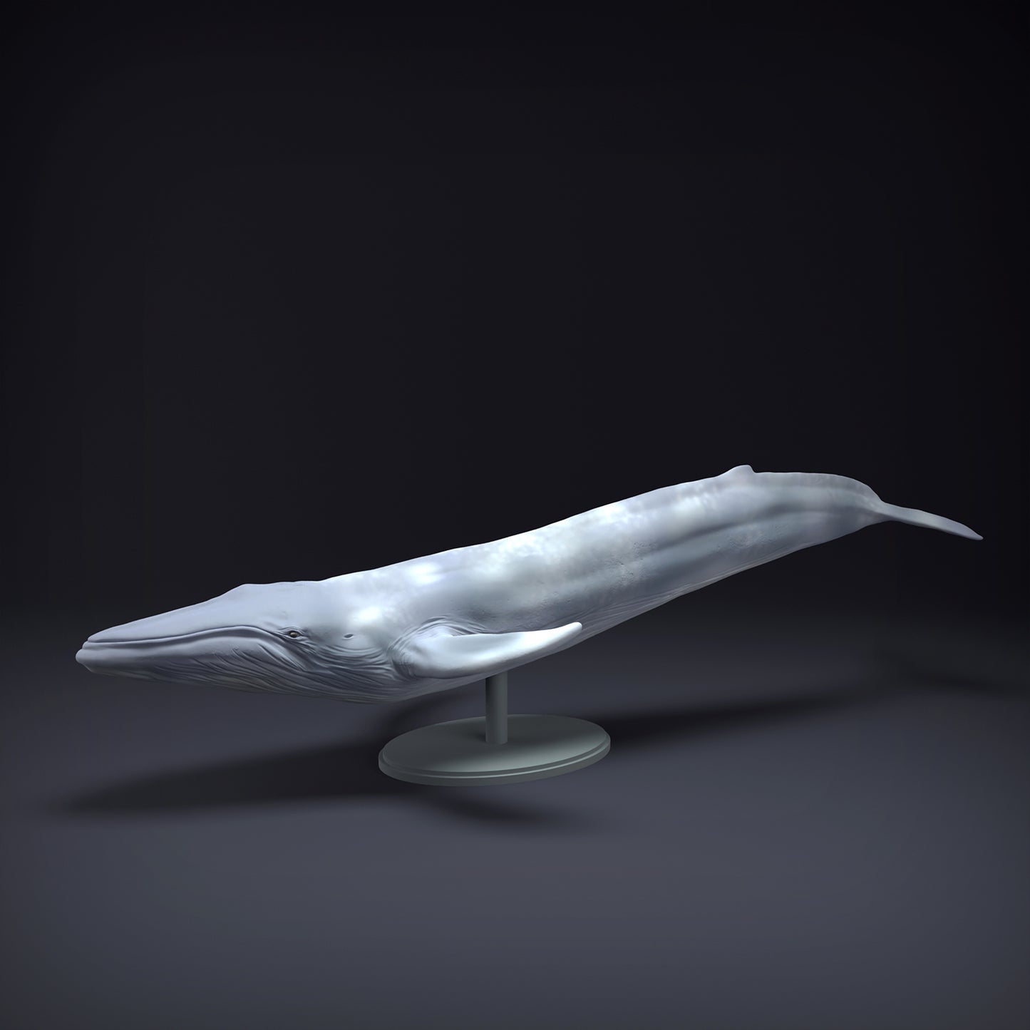 Blue Whale - Animal Den Miniatures