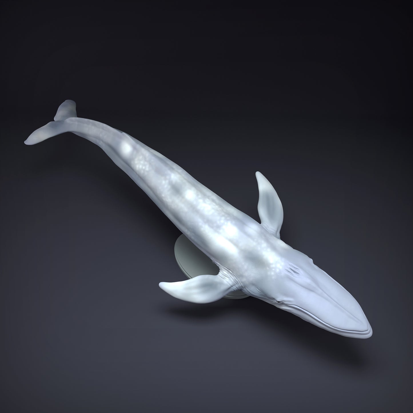 Blue Whale - Animal Den Miniatures