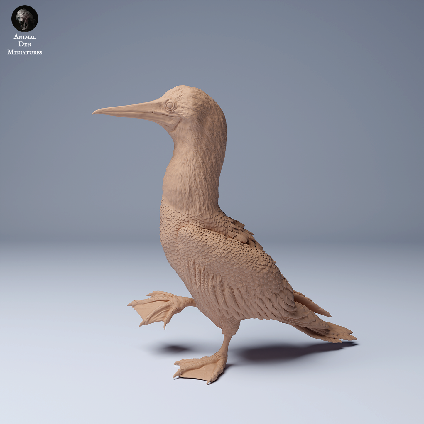 Blue Footed Booby 2 - Animal Den Miniatures