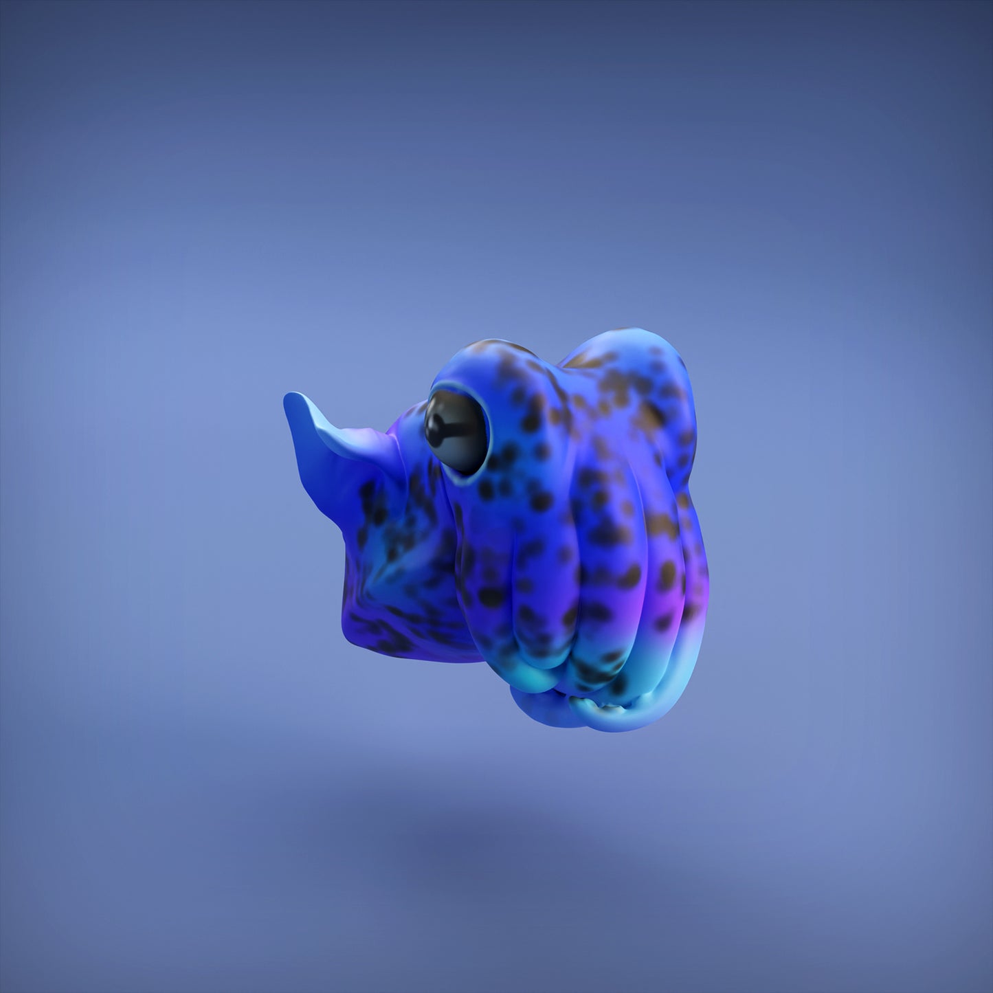 Bobtail Squid - Animal Den Miniatures