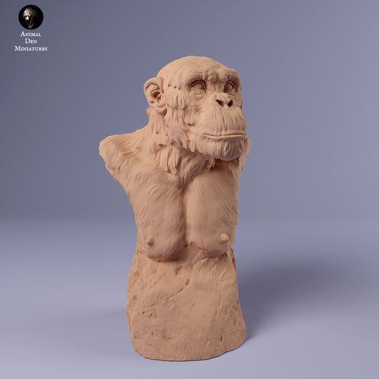 Common Chimpanzee Bust - Animal Den Miniatures