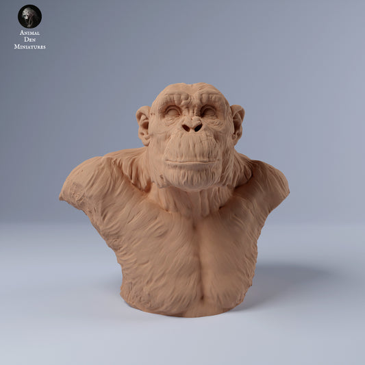 Chimp Male Bust - Animal Den Miniatures