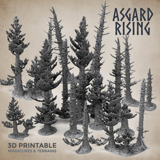 Coniferous Forest - Fir Trees - Asgard Rising