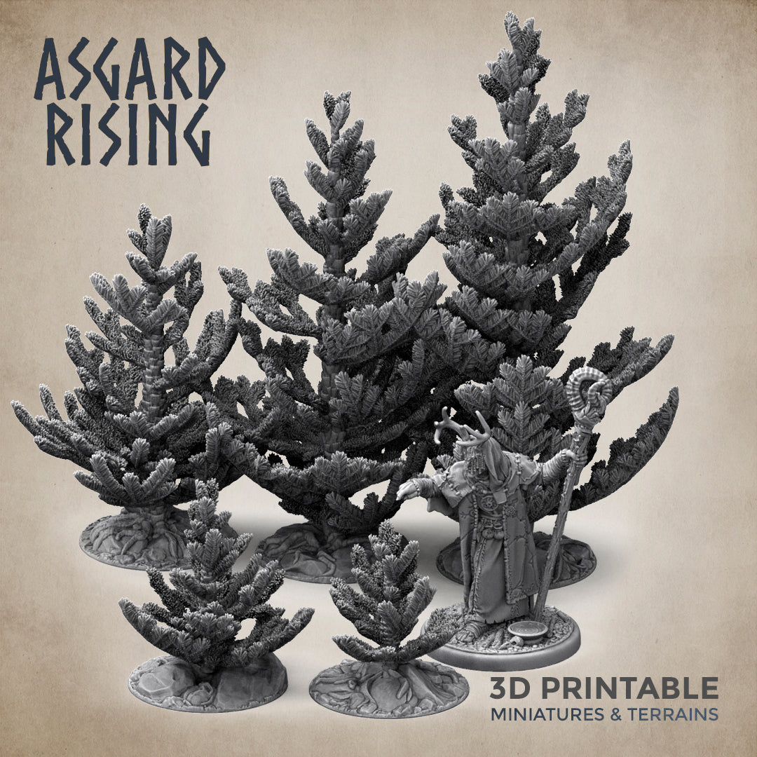 Young Conifers with Trays - Spruce Forest Set - Asgard Rising