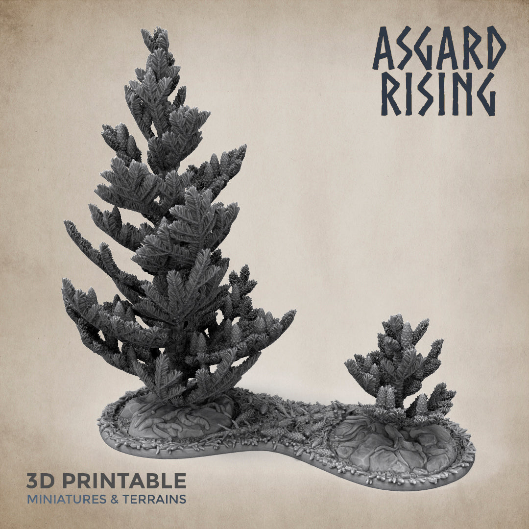 Young Conifers with Trays - Spruce Forest Set - Asgard Rising