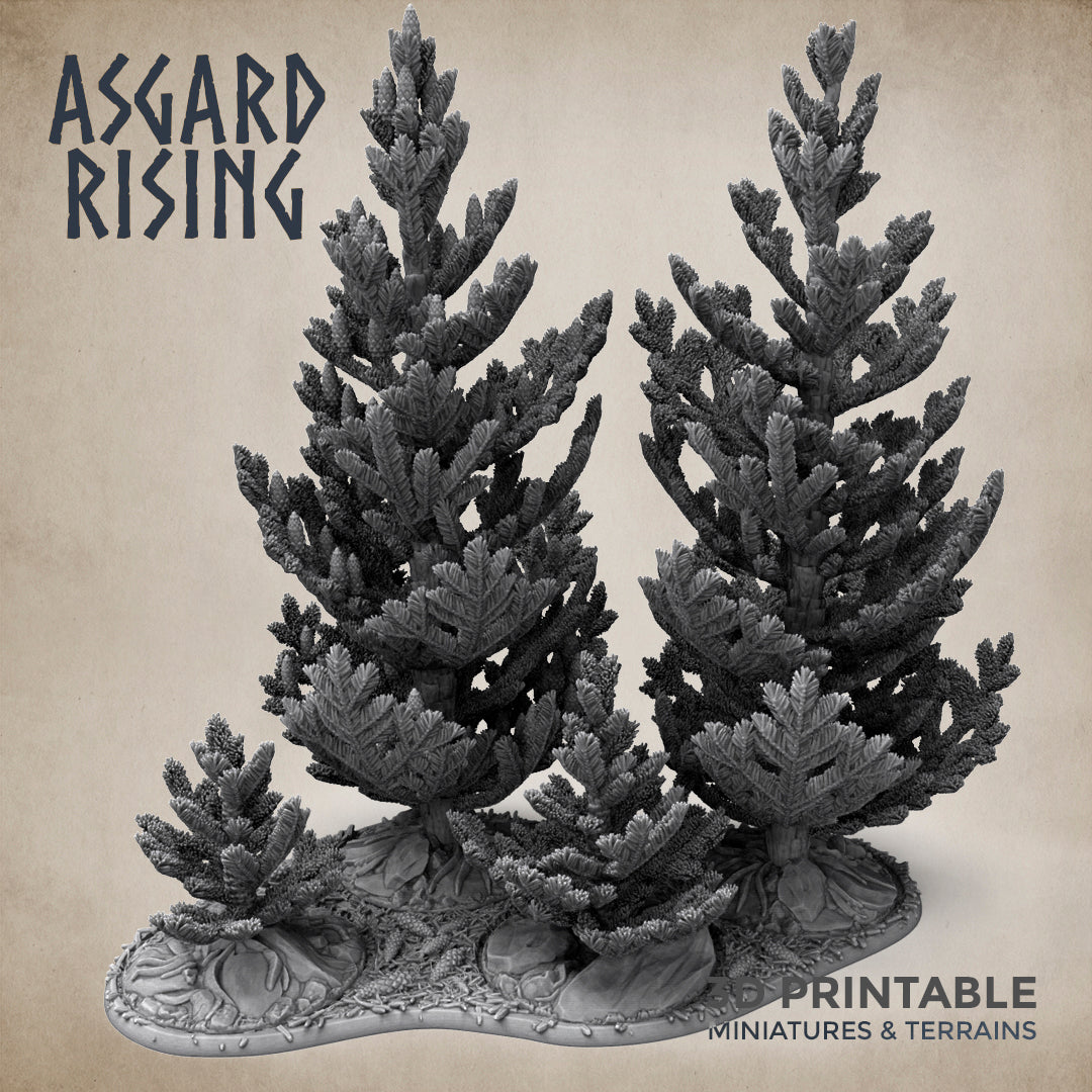 Young Conifers with Trays - Spruce Forest Set - Asgard Rising