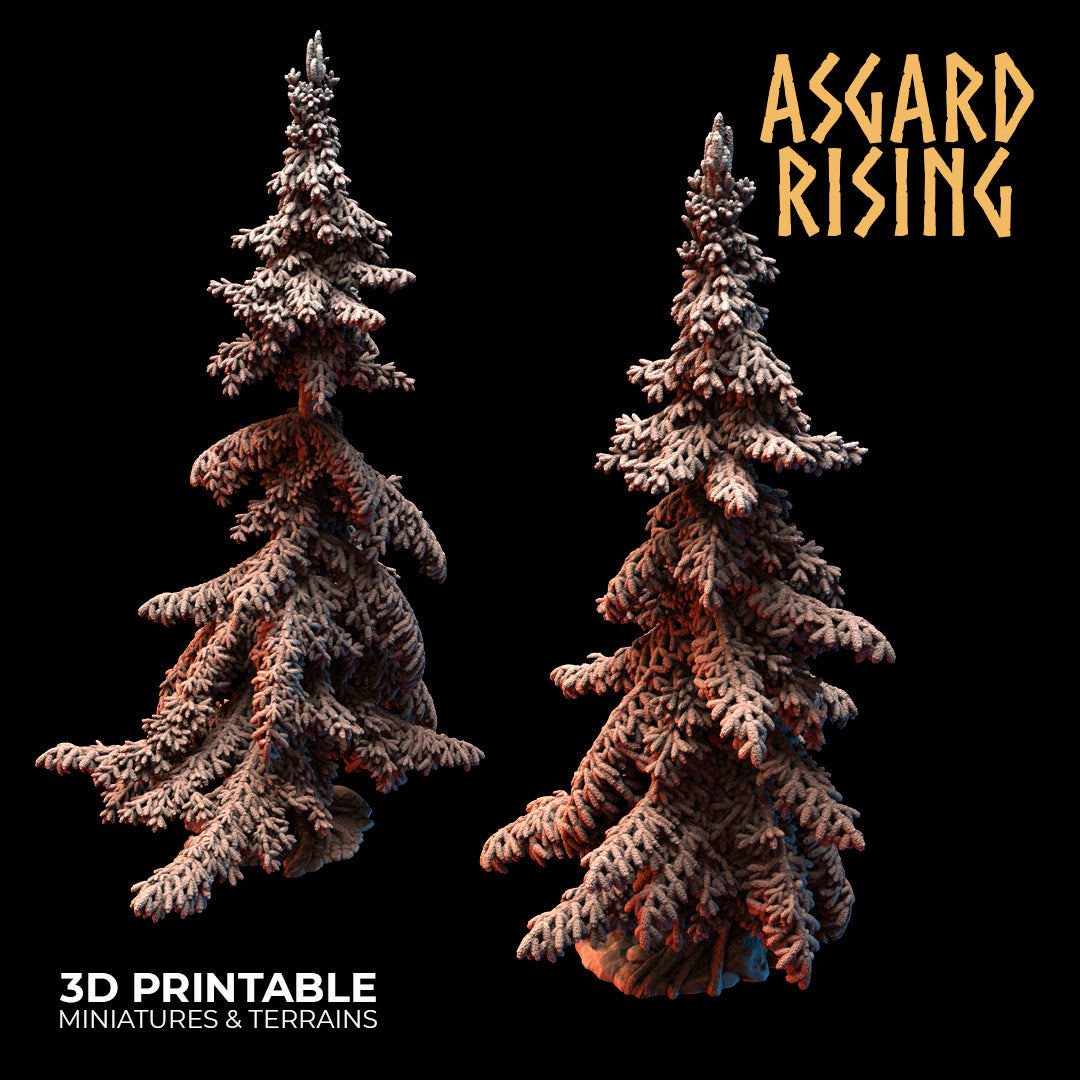 Coniferous Forest - Spruce Trees - Asgard Rising