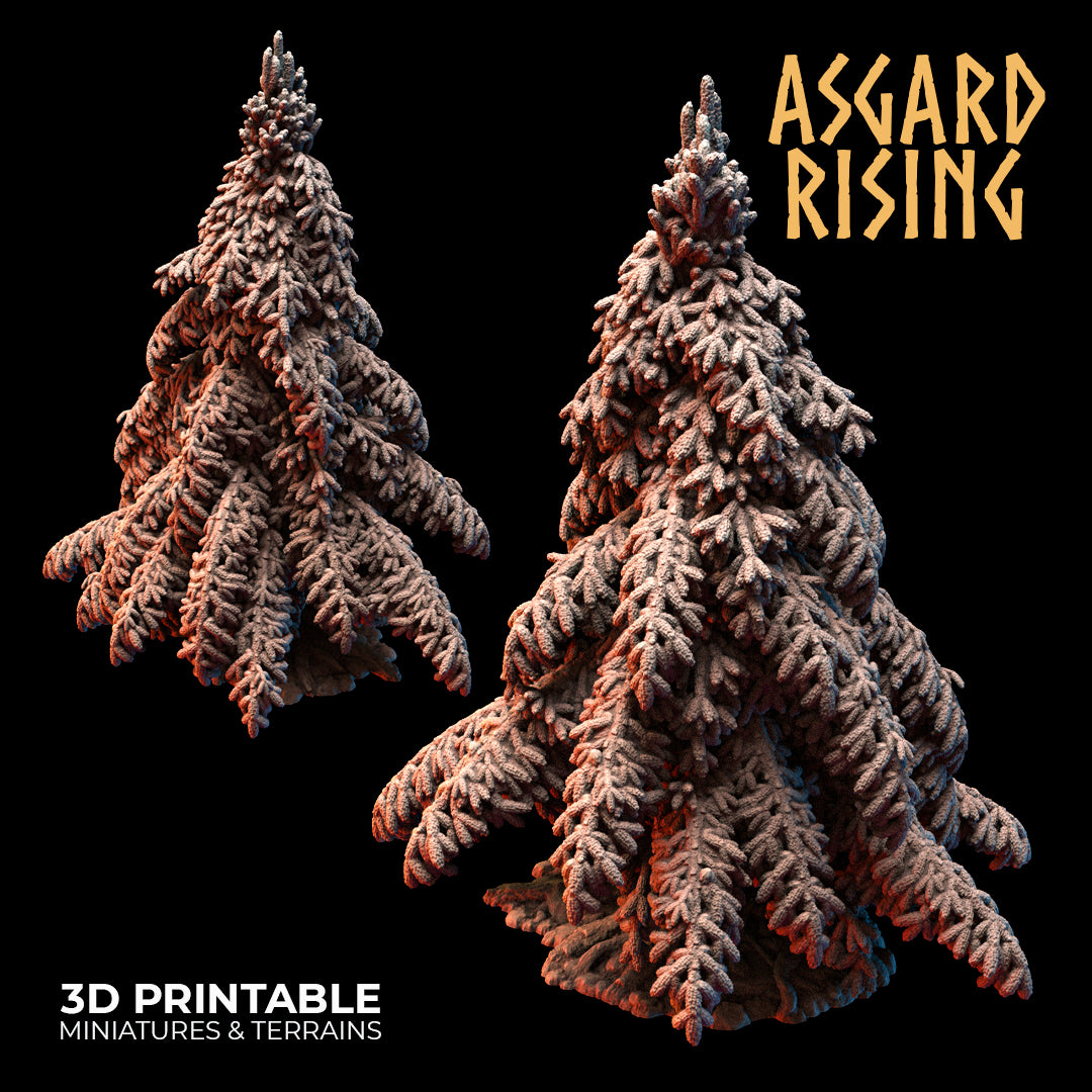 Coniferous Forest - Spruce Trees - Asgard Rising