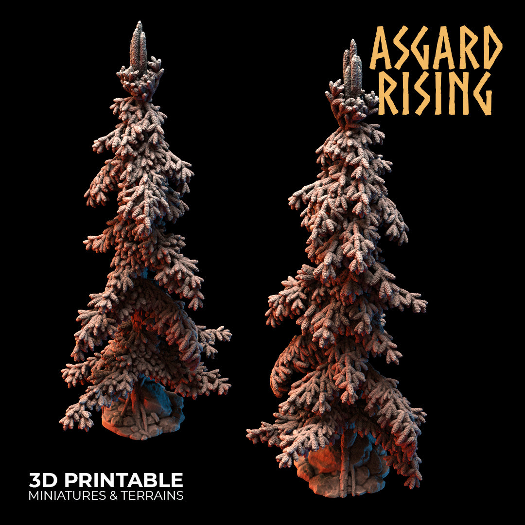 Coniferous Forest - Spruce Trees - Asgard Rising