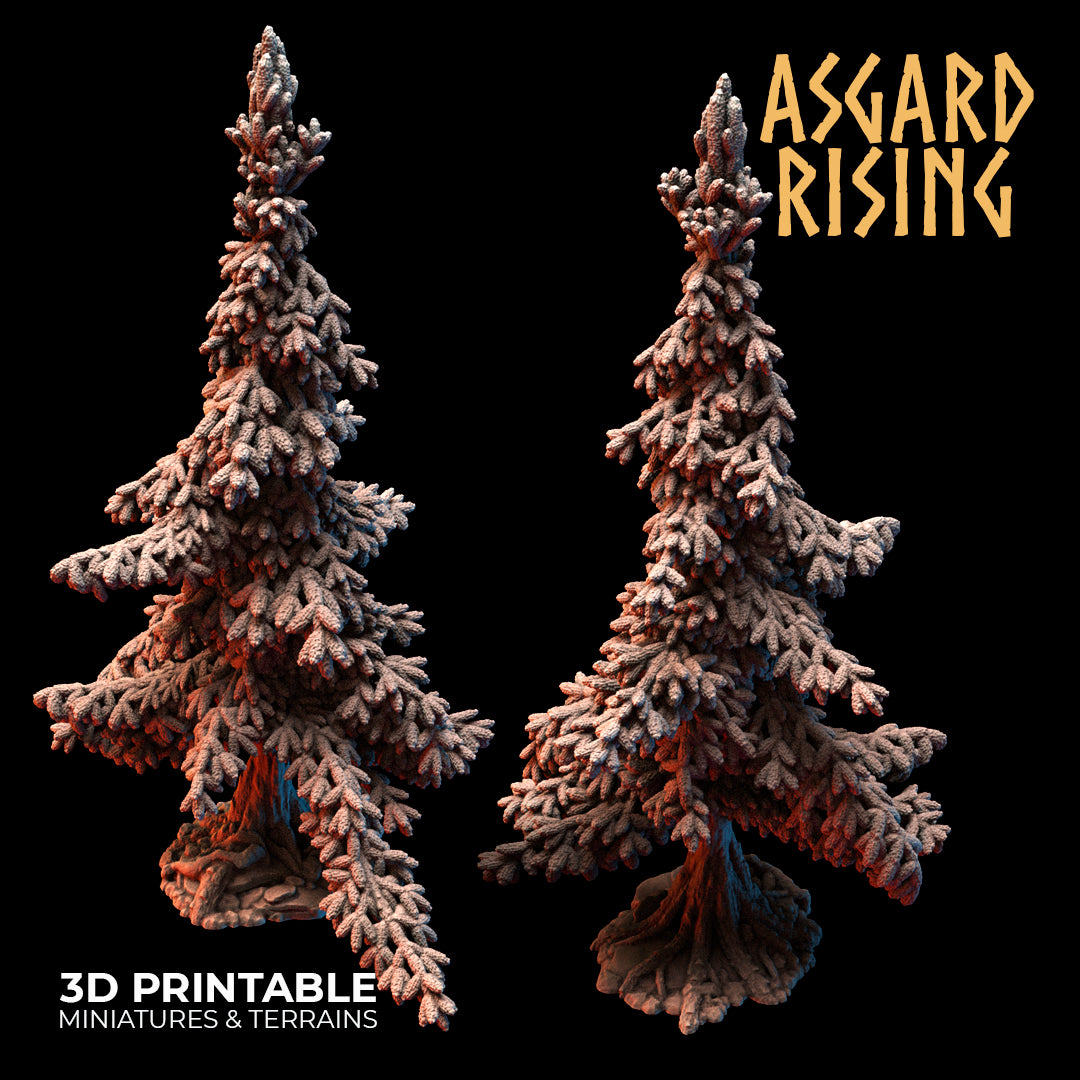 Coniferous Forest - Spruce Trees - Asgard Rising