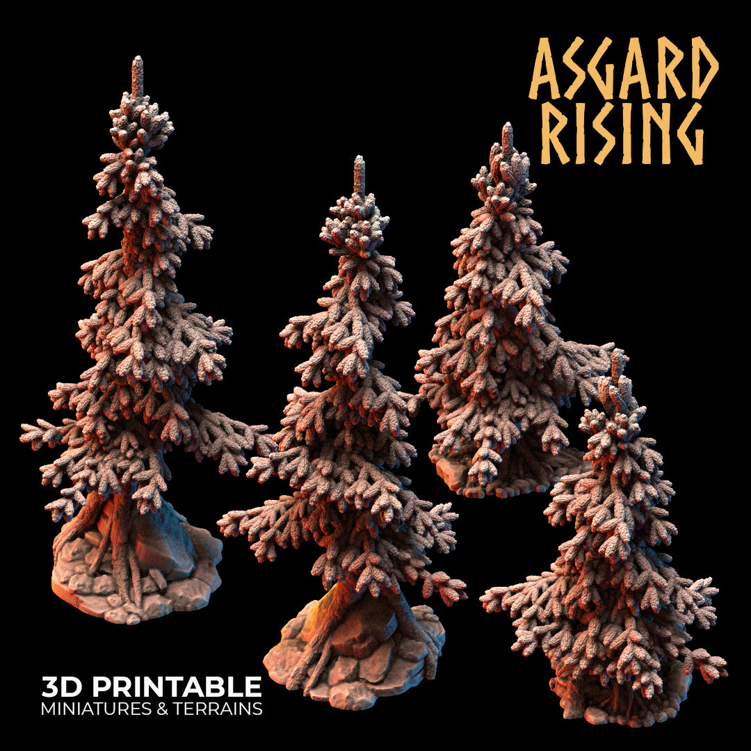 Coniferous Forest - Spruce Trees - Asgard Rising