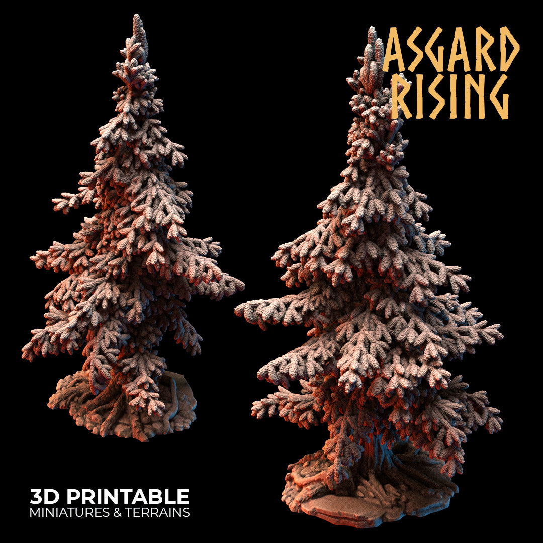 Coniferous Forest - Spruce Trees - Asgard Rising