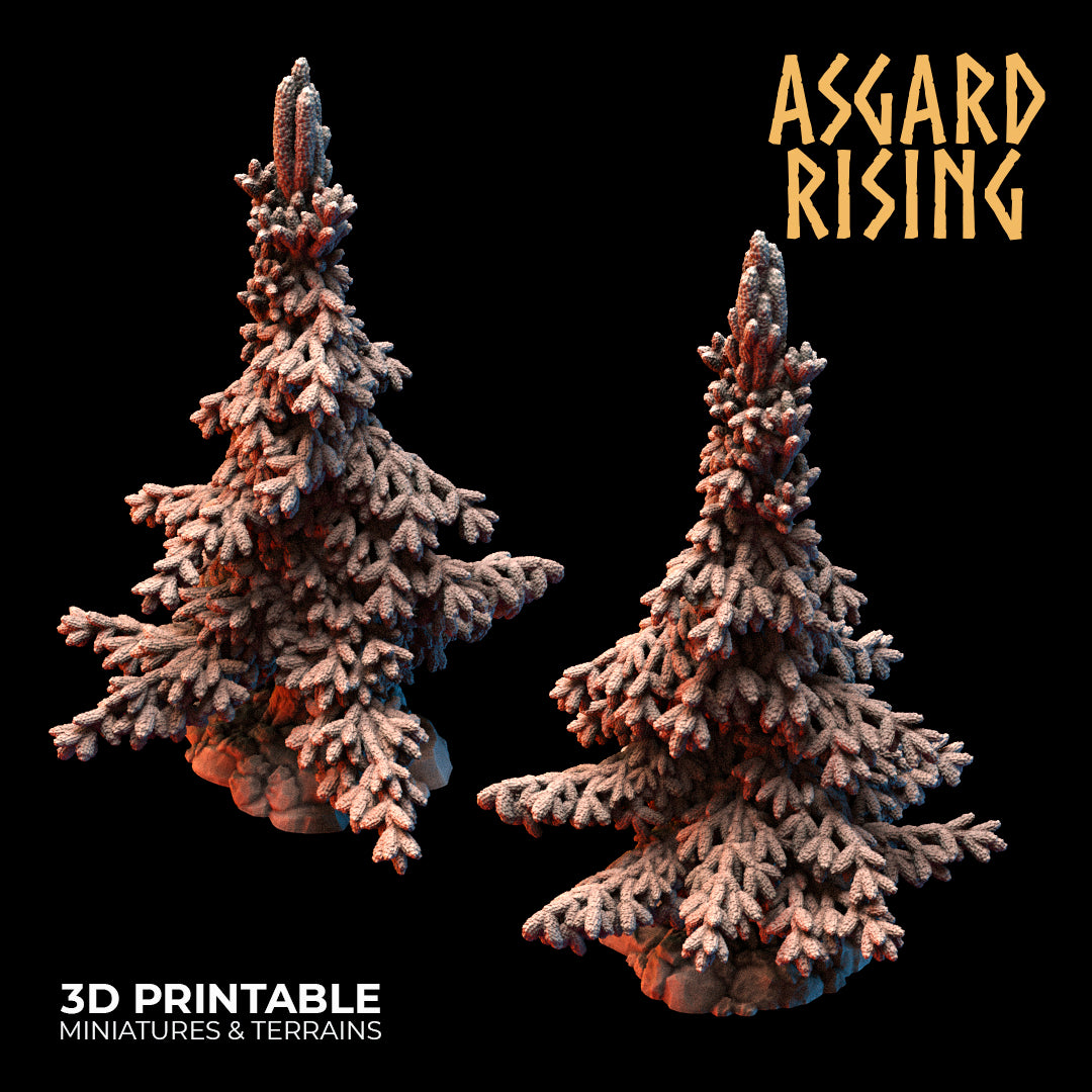 Coniferous Forest - Spruce Trees - Asgard Rising