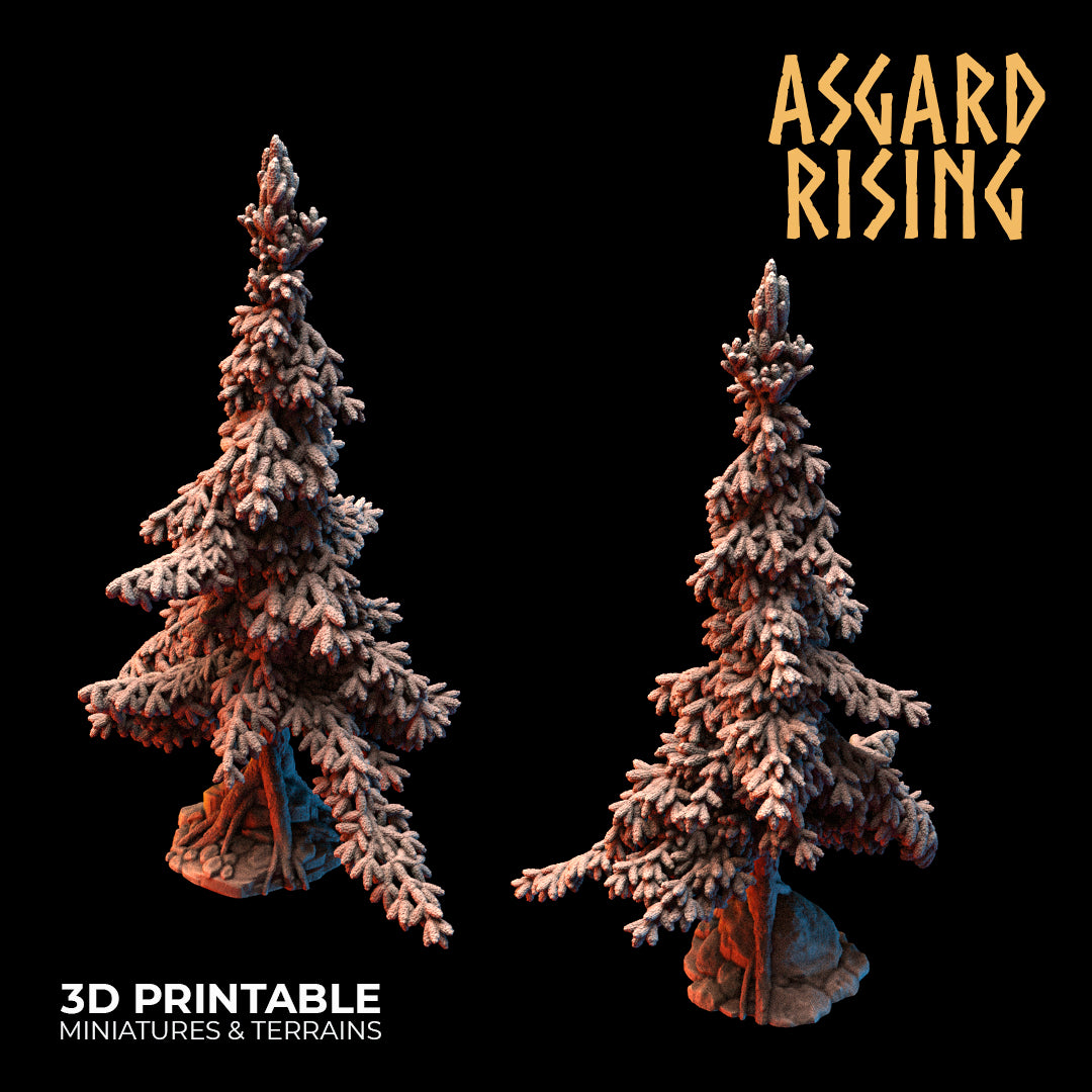 Coniferous Forest - Spruce Trees - Asgard Rising