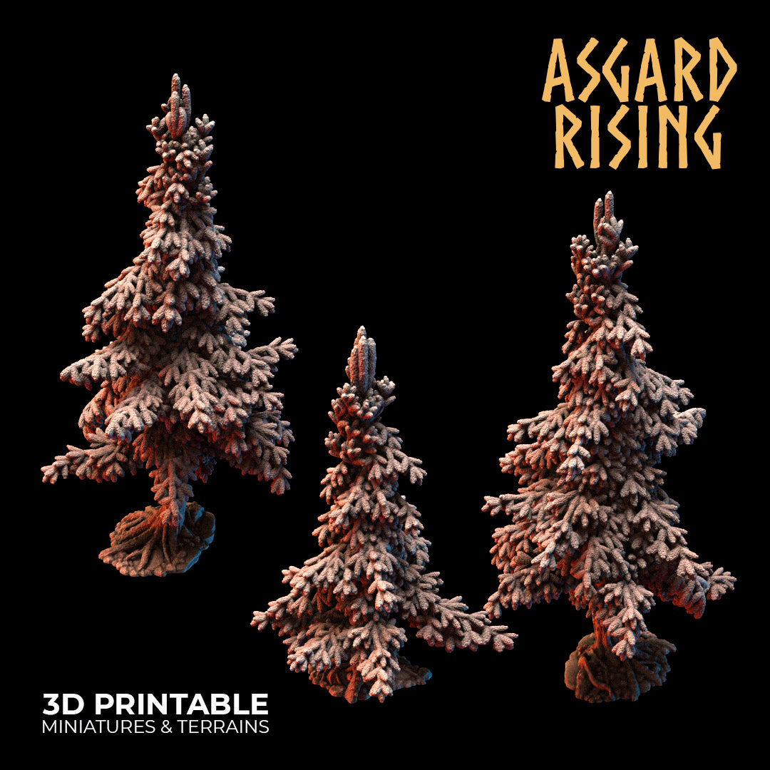 Coniferous Forest - Spruce Trees - Asgard Rising