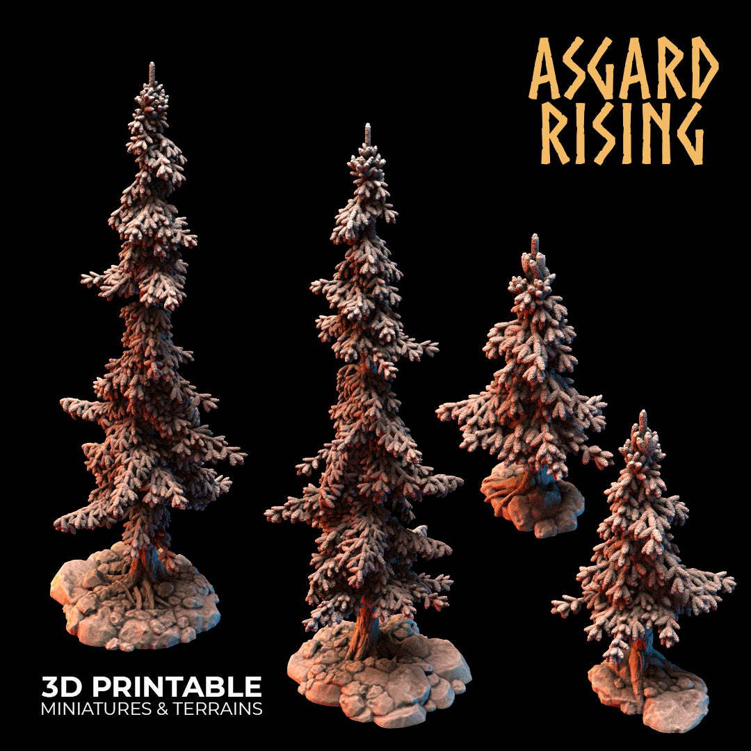 Coniferous Forest - Spruce Trees - Asgard Rising