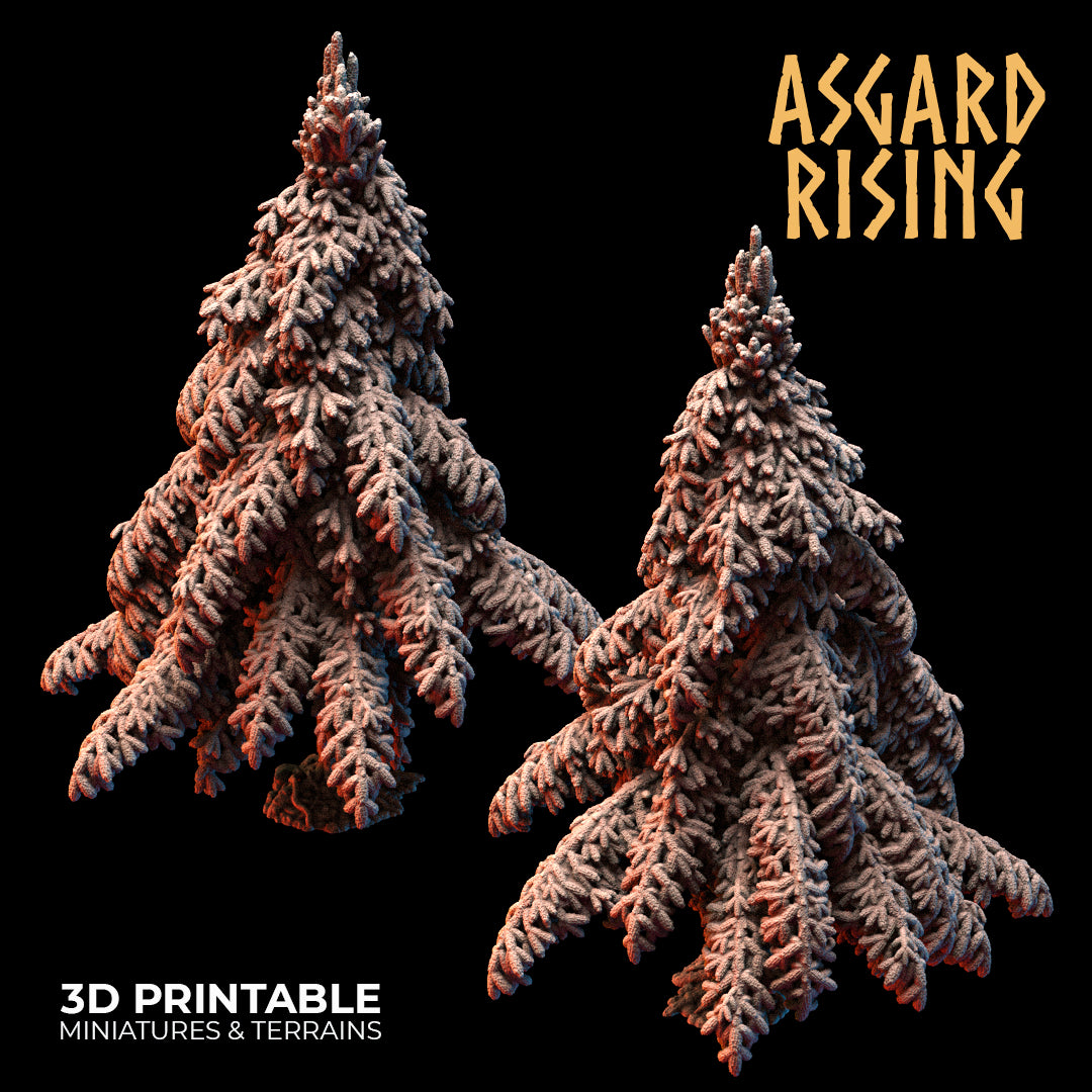 Coniferous Forest - Spruce Trees - Asgard Rising