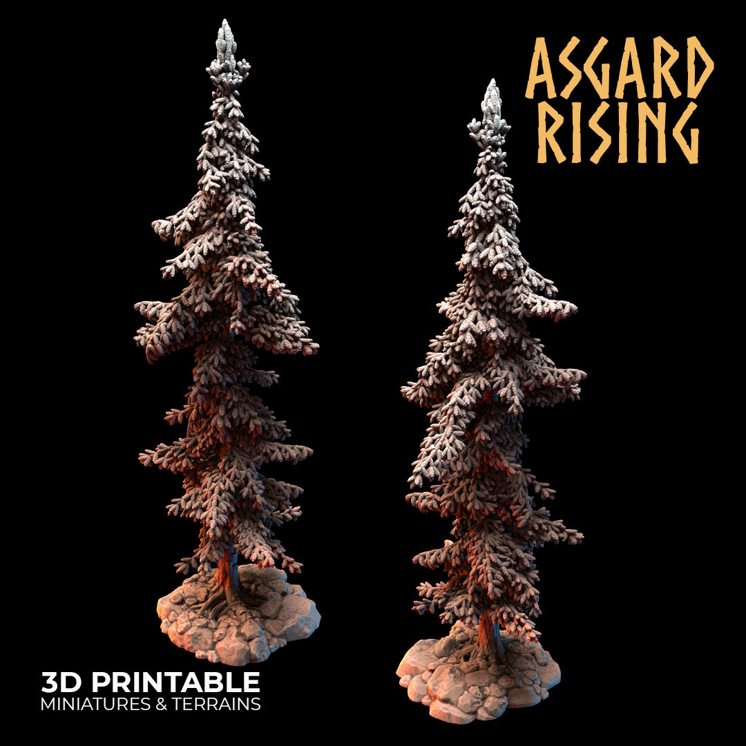 Coniferous Forest - Spruce Trees - Asgard Rising