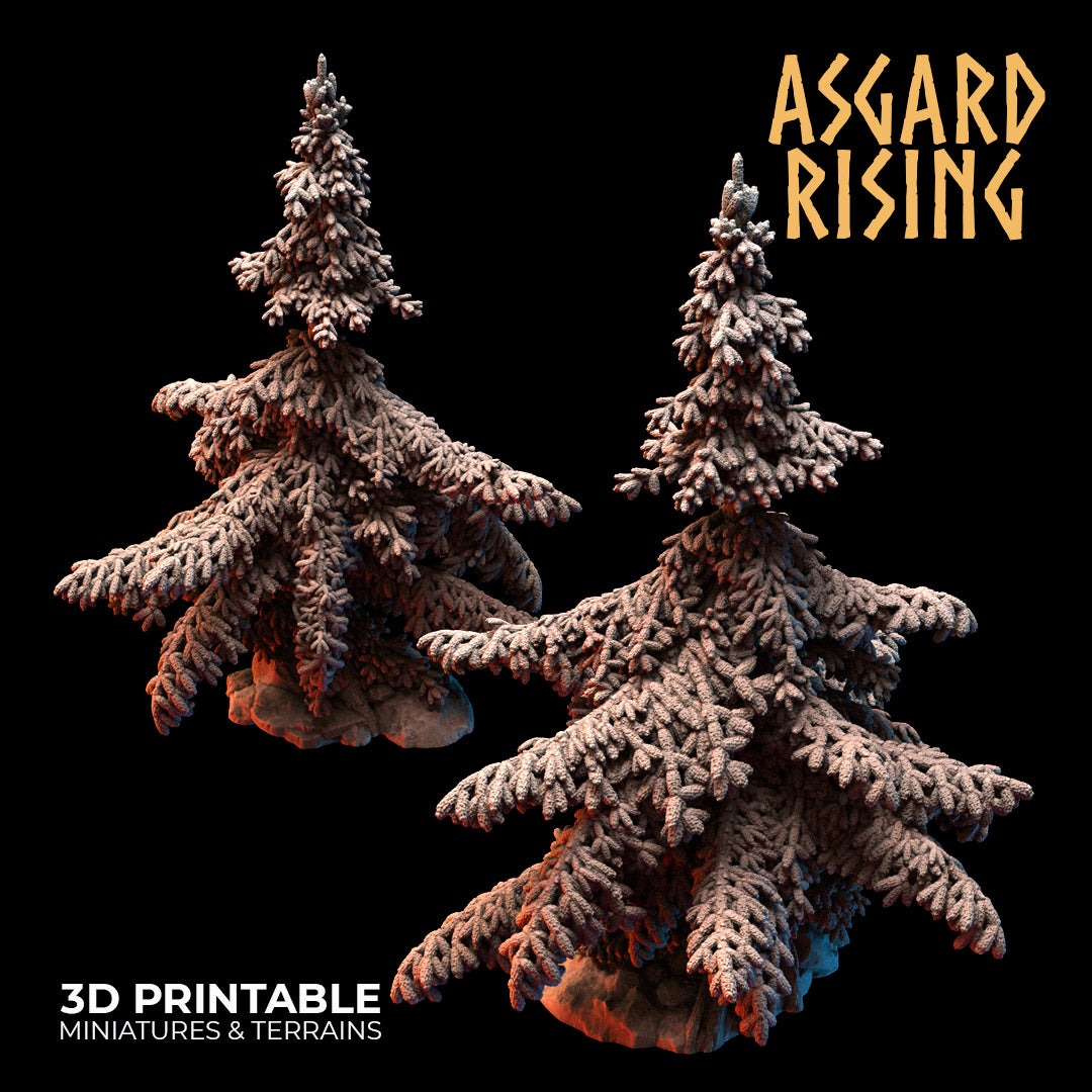 Coniferous Forest - Spruce Trees - Asgard Rising