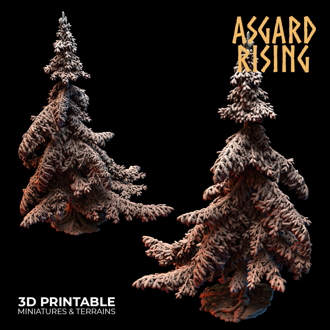 Coniferous Forest - Spruce Trees - Asgard Rising